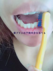 下の歯のタテ磨き