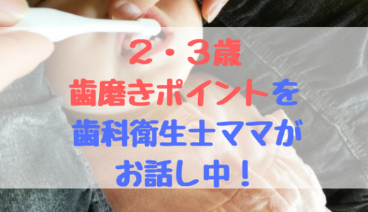 2歳・3歳の歯磨きの仕方のポイントは６つ！イライラした時は頑張りすぎないのが鉄則！